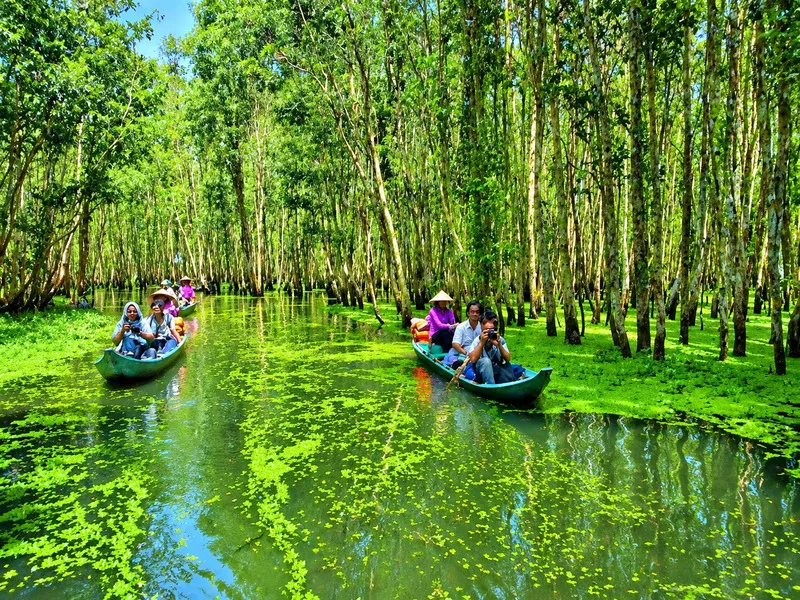Gáo Giồng sở hữu rừng tràm xanh mát, hệ sinh thái phong phú và những trải nghiệm khám phá thiên nhiên đặc trưng.