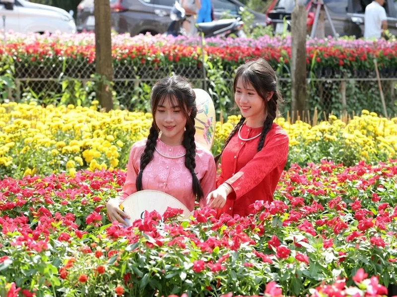 Làng hoa Sa Đéc rực rỡ với nhiều loài hoa đặc sắc, trở thành điểm check-in nổi tiếng của miền Tây.